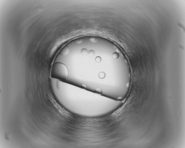X0000096411499200801241014