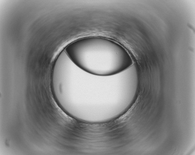 X0000096411500200801241014