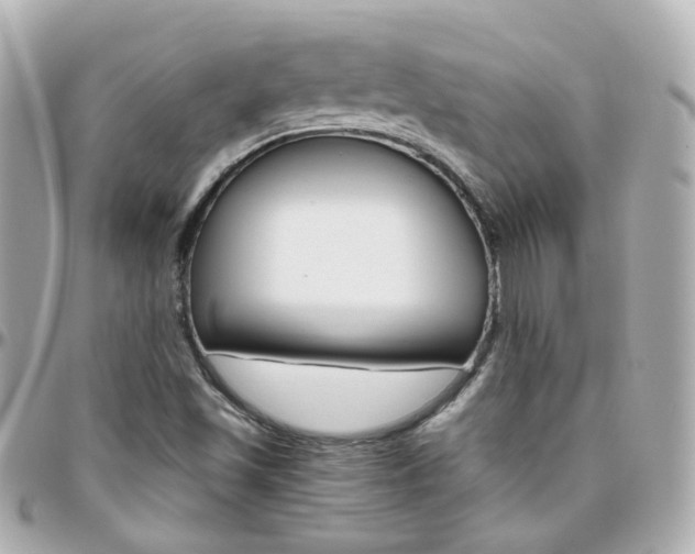 X0000096411501200801241014