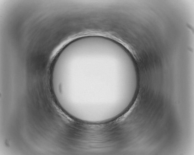 X0000096411502200801241014