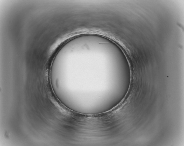 X0000096411503200801241014