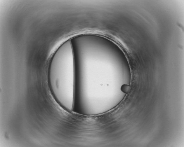X0000096411504200801241014
