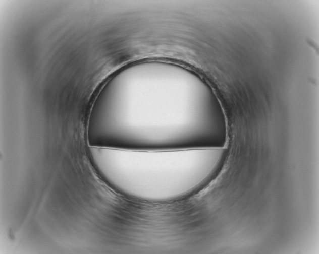 X0000096411505200801241014