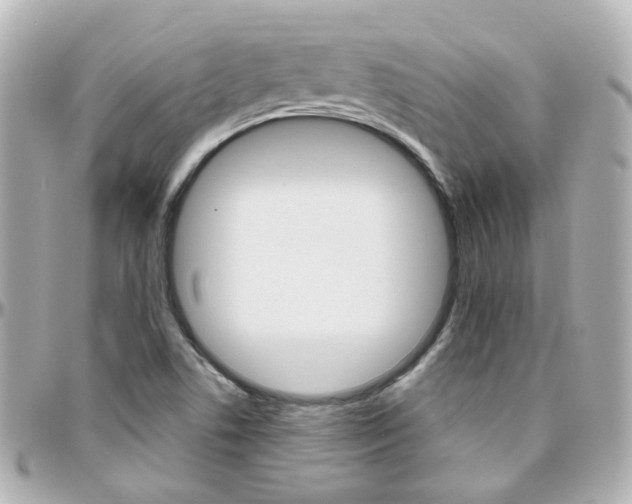 X0000096411506200801241014