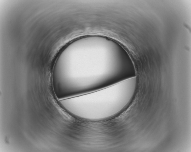 X0000096411507200801241014