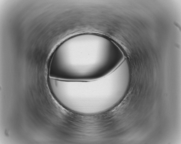 X0000096411508200801241014
