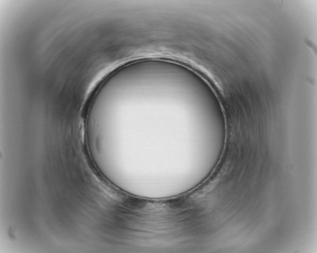 X0000096411509200801241014