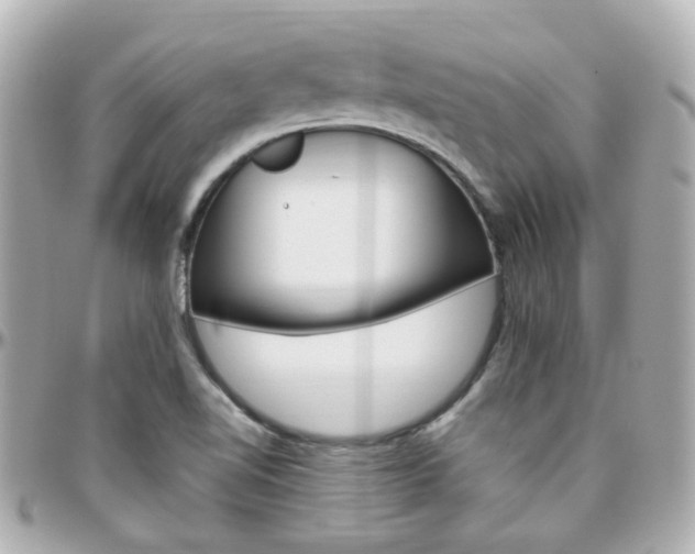 X0000096411510200801241014