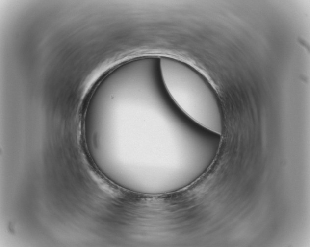 X0000096411511200801241014