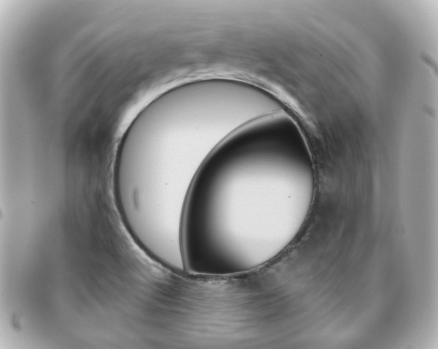 X0000096411512200801241014