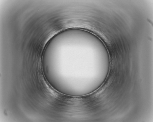 X0000096411513200801241014