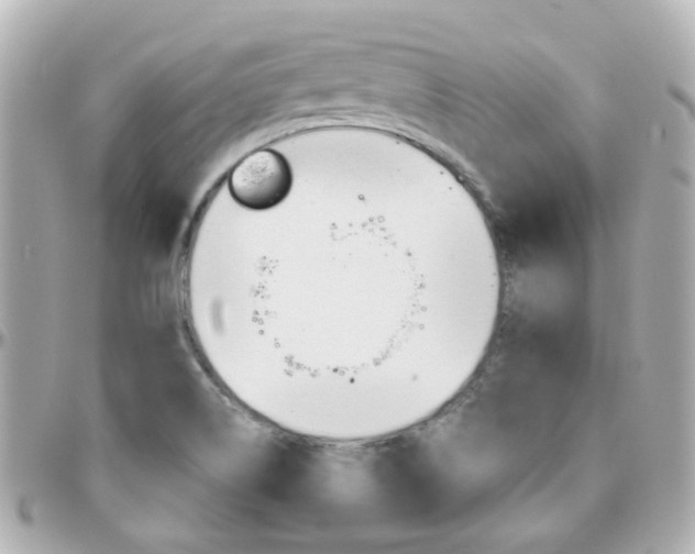 X0000096411514200801241014