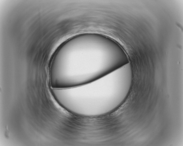 X0000096411515200801241014
