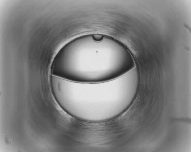 X0000096411516200801241014