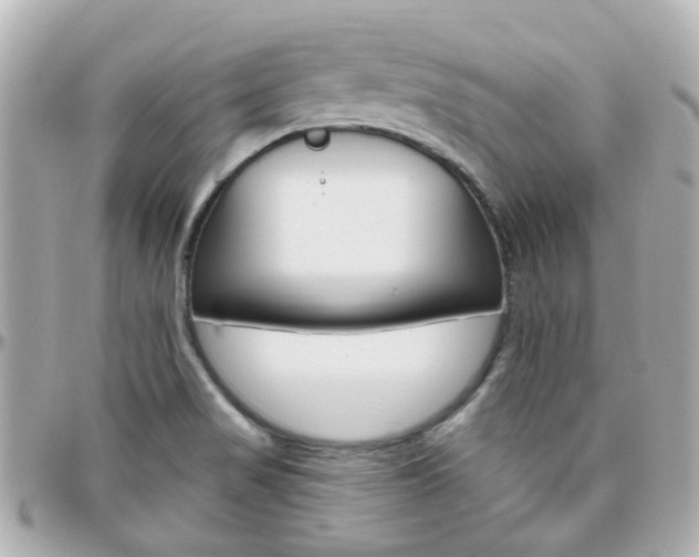 X0000096411517200801241014