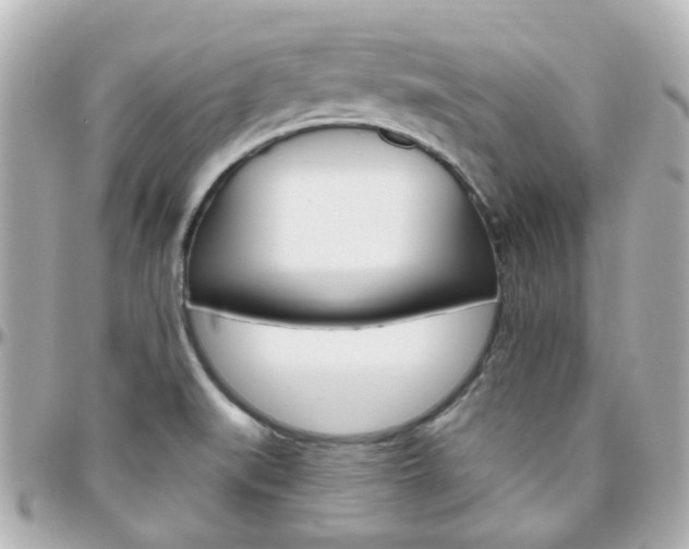 X0000096411519200801241014