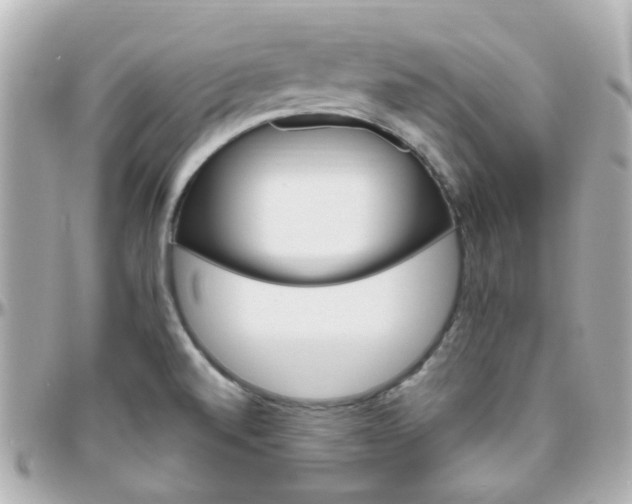 X0000096411520200801241014