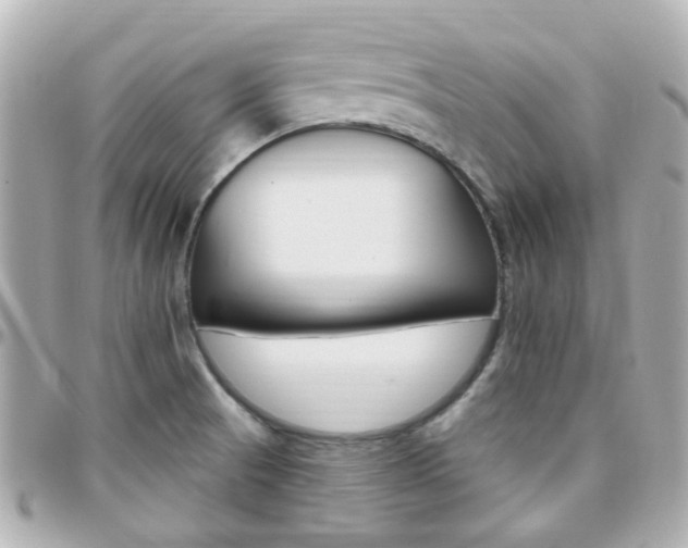 X0000096411521200801241014