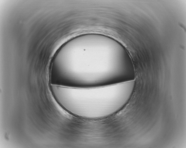 X0000096411523200801241014