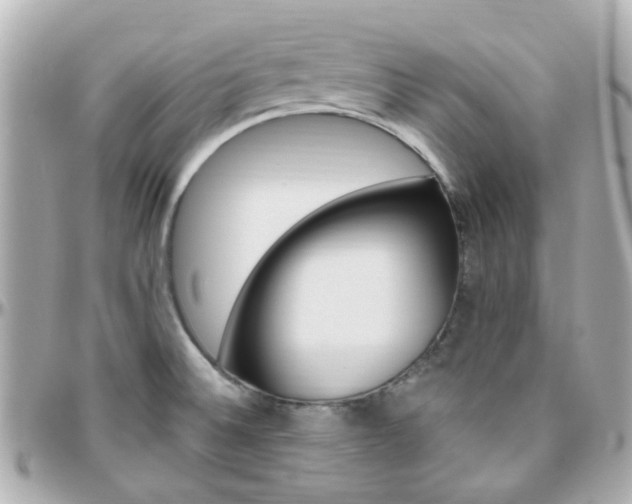 X0000096411524200801241014