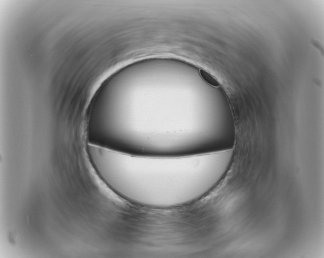X0000096411526200801241014