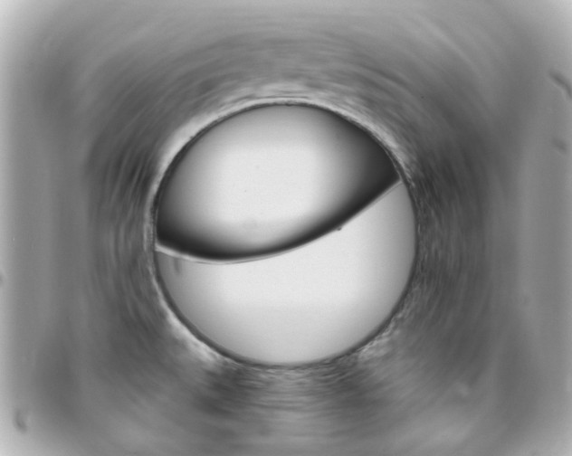 X0000096411527200801241014
