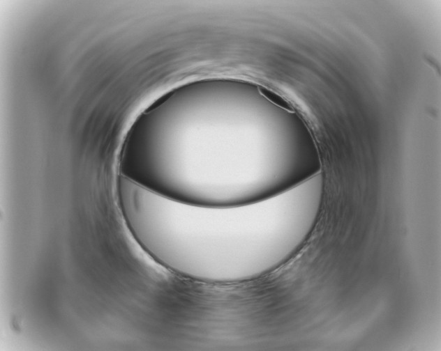 X0000096411528200801241014