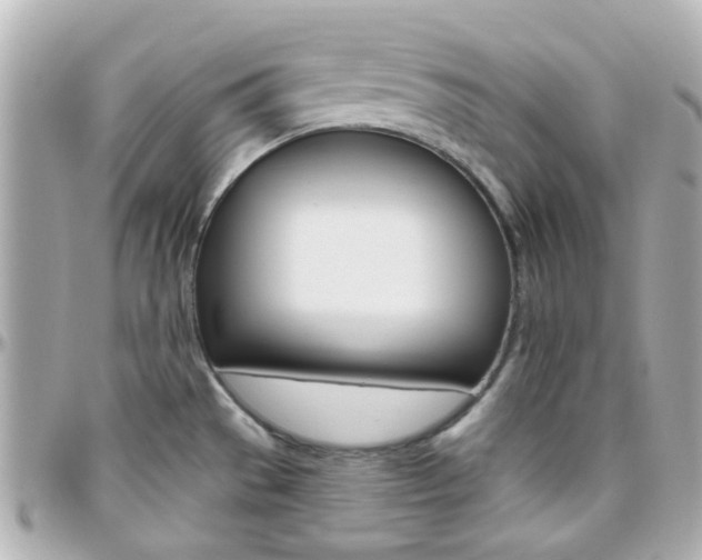 X0000096411529200801241014
