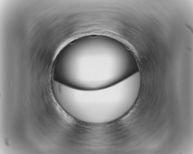 X0000096411530200801241014