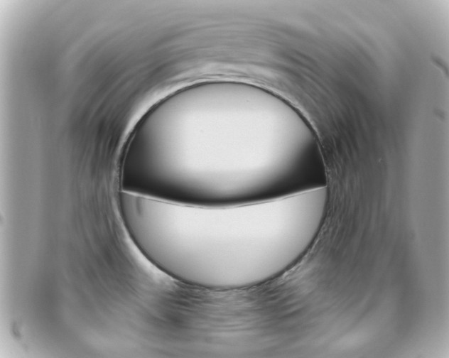 X0000096411531200801241014