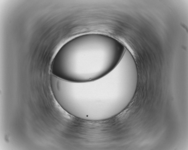 X0000096411532200801241014