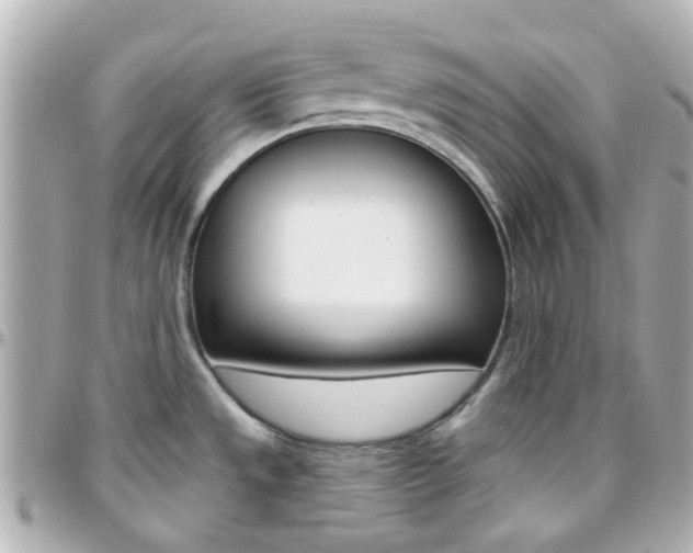 X0000096411533200801241014