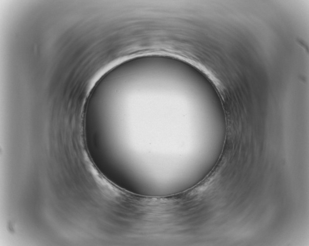X0000096411534200801241014