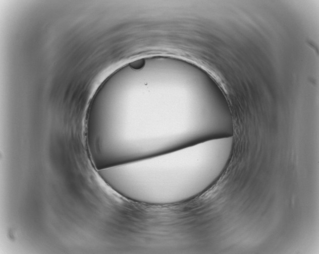 X0000096411535200801241014