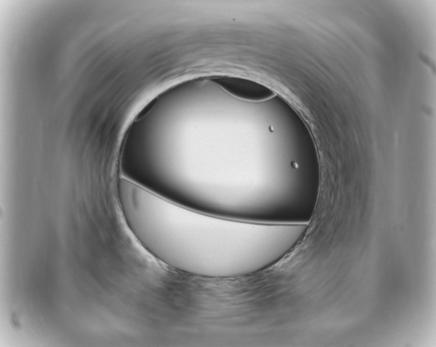 X0000096411536200801241014
