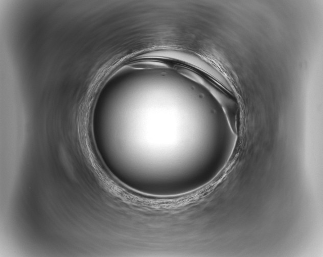X0000096410001200801241230