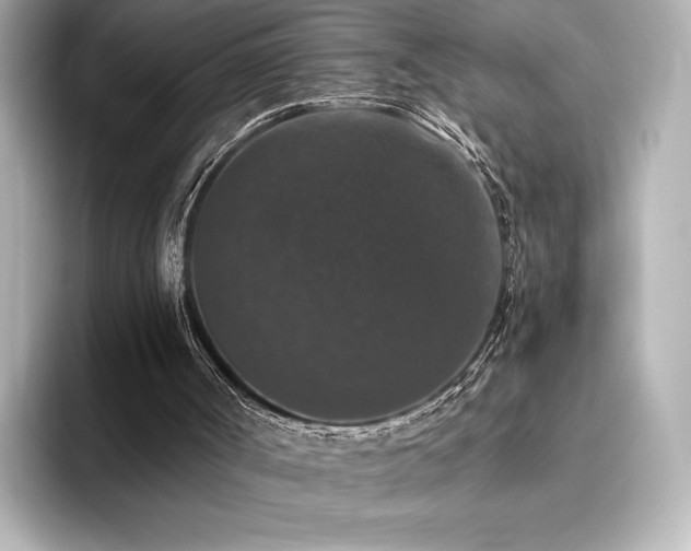 X0000096410002200801241230