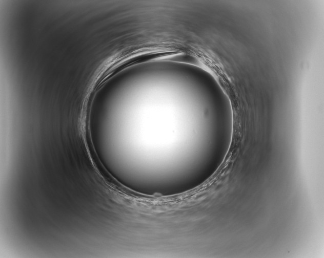X0000096410003200801241230
