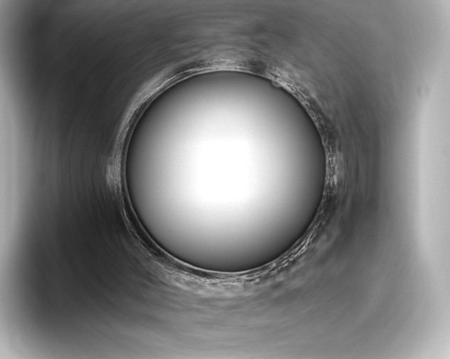 X0000096410004200801241230