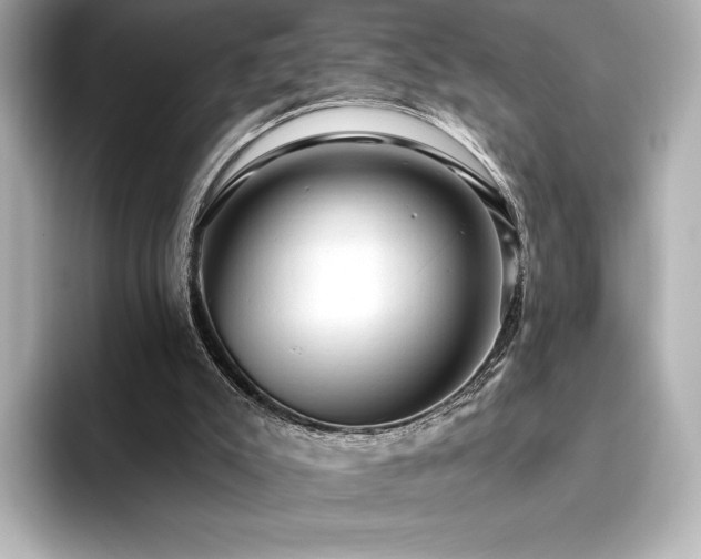 X0000096410007200801241230
