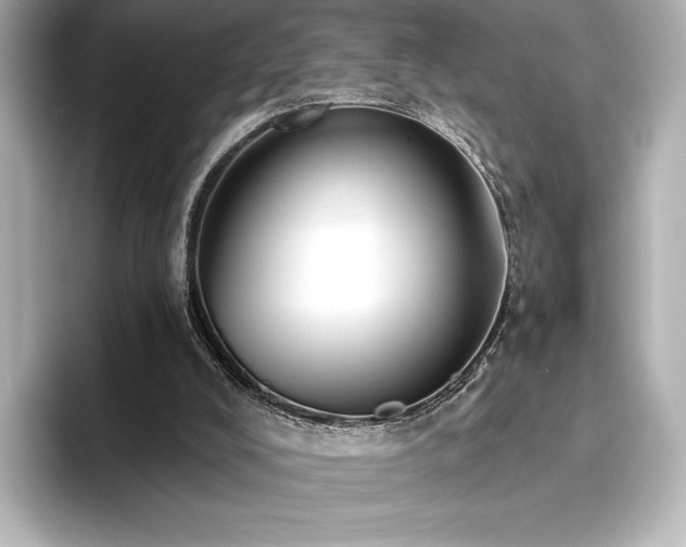 X0000096410008200801241230