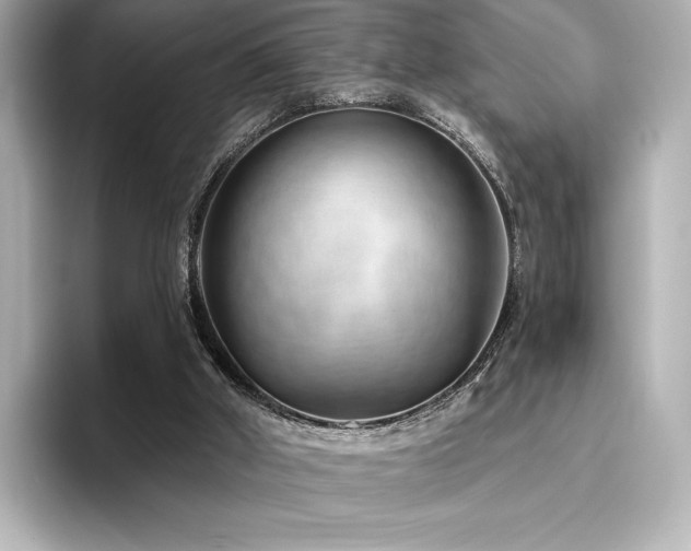X0000096410010200801241230