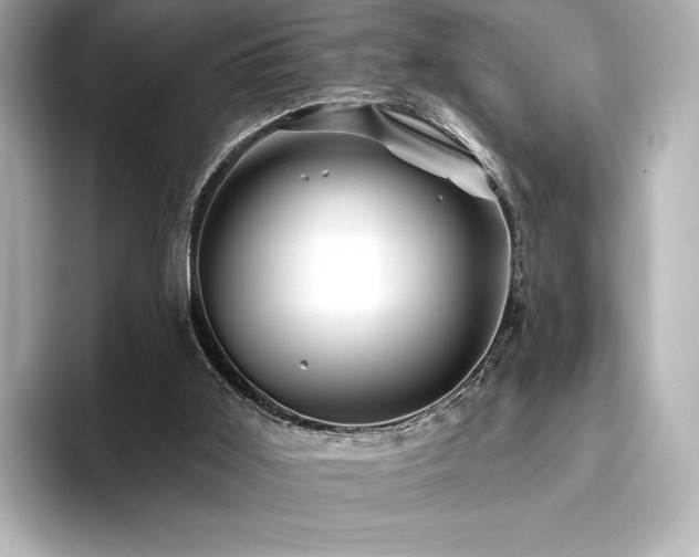 X0000096410011200801241230