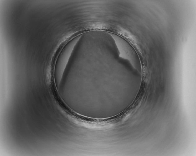 X0000096410012200801241230
