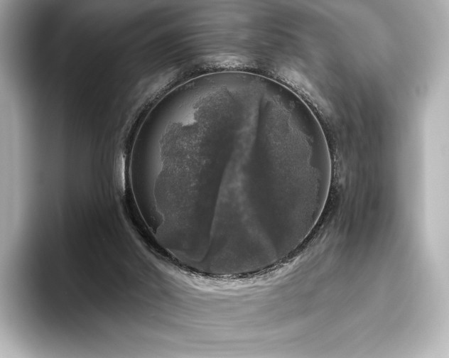 X0000096410014200801241230