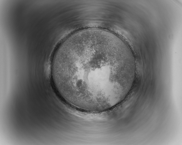 X0000096410016200801241230