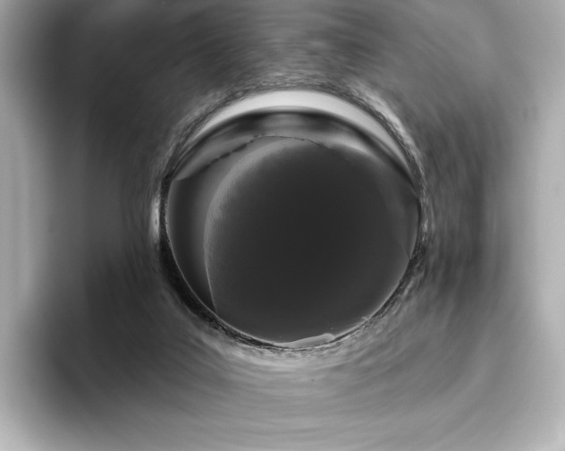 X0000096410019200801241230