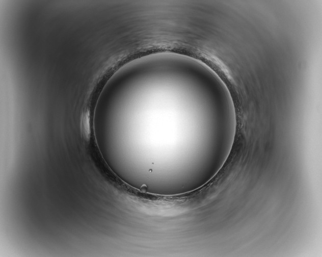 X0000096410020200801241230