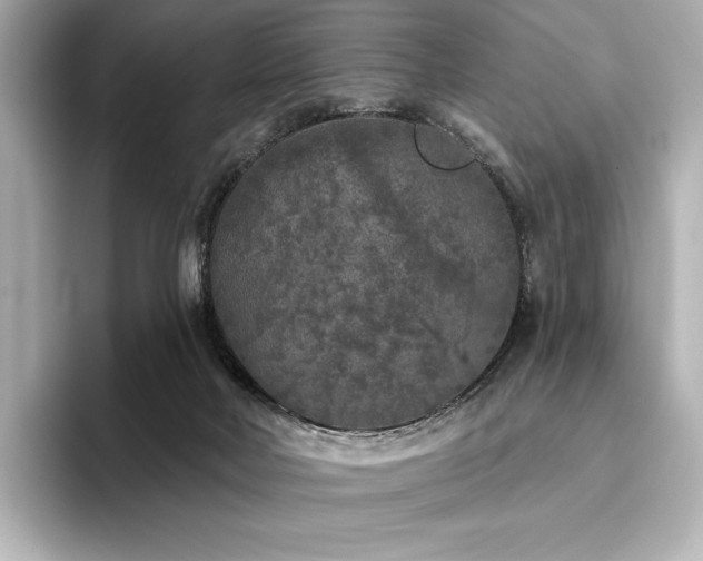 X0000096410026200801241230
