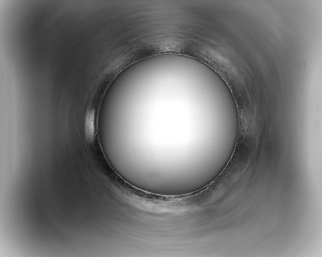 X0000096410028200801241229